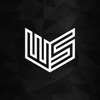 Agencja Piłkarska "WS Progres" Logo