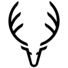 Zevi Digital Marketing Logo