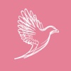 Maclaren Jones Design and Marketing Logo