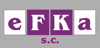 EFKA s.c. Logo