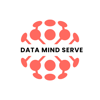 DataMindServe Logo