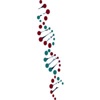 Livingwords Translations Logo
