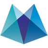Salient Accounting & Finance Logo