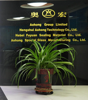 Hengshui Hongwo Technology Co., Ltd. Logo