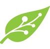 Mowgli Logo