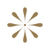 Oh, Hello Design Co. Logo