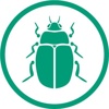 Beetle Green Ltd Logo