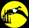Idaho Screen Print Inc. Logo