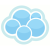 Consulted Logo