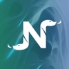 Nyoka Logo