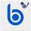 Big Button Logo
