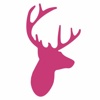 Big Eye Deers Ltd. Logo