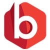 Big Media Logo