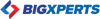 Bigxperts Logo