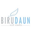 Birudaun Web Studio Logo