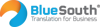 BlueSouth Logo