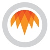 Bottle Rocket Corp. Logo