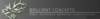 Brilliant Concepts Logo