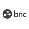 Business Network Consulting Logo