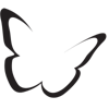 Anamorphics, Inc. Logo