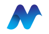Noetic IT Services Pvt. Ltd. Logo