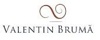 Valentin Bruma ~ wedding videographer Iasi Logo