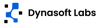 Dyna Soft Labs Logo