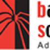 Barking Spider Solutions Video Marketing & Strategy Logo