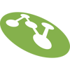 Consilien Logo