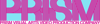 PRISM Logo