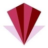 VIDZET MEDIA Logo
