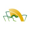 Australia Logo Logo