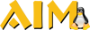AIM IT Services Logo