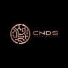 CYBERNETTED DIGITAL SOLUTIONS OPC PVT LTD Logo