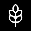 Digital Seed GmbH iG Logo