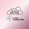BI Pro Consulting Logo