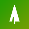 Doug Fir Marketing Logo