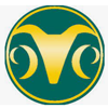 Ram Steelco Inc Logo