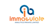 Immaculate Analytics Pvt Ltd Logo