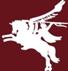 Pegasus Steel, LLC Logo
