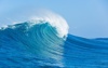 Surf Search Inc Logo