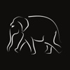 Ivory Digital Logo
