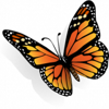 Devcity Logo