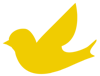 Canary Software Logo