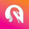 Swan Technology Solutions Logo