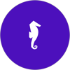 Recogn.ai Logo