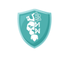 METANOW Logo