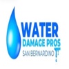 Water Damage Pros - San Bernardino Logo