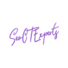 SEO CT Experts Logo