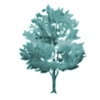 Alder Tree Coaching Logo